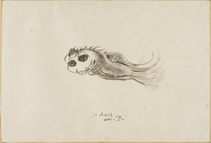 Illallismenu ranskalaisille litografeille, 1. huhtikuuta 1887 tekijältä Odilon Redon