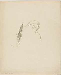 Nukkua tekijältä Odilon Redon
