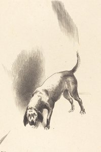 Koira tekijältä Odilon Redon