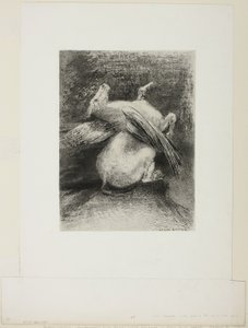 Impotentti siipi ei nostanut eläintä mustaan tilaan, levy 7/8 Les Originesista tekijältä Odilon Redon