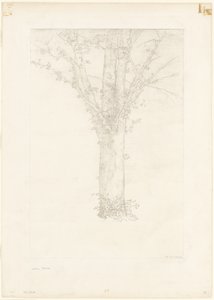 Puu tekijältä Odilon Redon