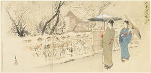 Garyo_bai Plum in Kameido, December 1895 tekijältä Ogata Gekko