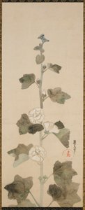 Valkoiset hollyhocks, Edo-kausi, 1600-luvun loppu - 1700-luvun alku. tekijältä Ogata Korin