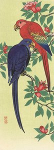 Punainen ja sininen papukaija, japanilainen taiteilija Ohara Koson tekijältä Ohara Koson