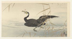 Merimetso kalan kanssa tekijältä Ohara Koson