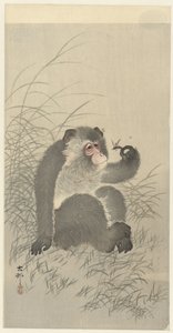 tapasit hyönteisen tekijältä Ohara Koson
