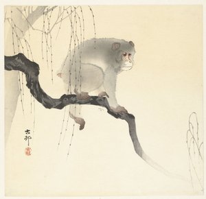 Apina puun oksalla tekijältä Ohara Koson