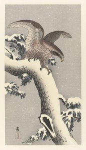 Kotka lumisella männyllä tekijältä Ohara Koson