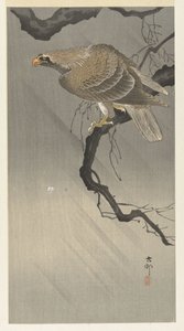 kotka oksalla tekijältä Ohara Koson