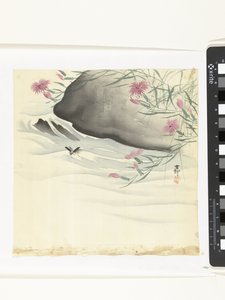 Kukkia rannalla tekijältä Ohara Koson