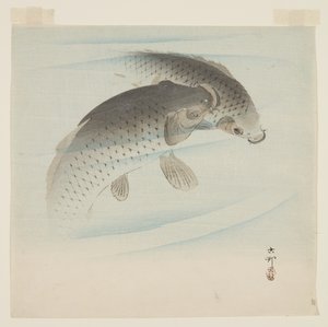 Karppi (Koi) (värillinen puupainatus) tekijältä Ohara Koson