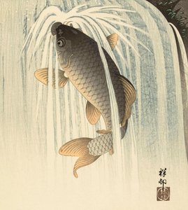 Carp Under a Waterfall, japanilainen taiteilija Ohara Koson tekijältä Ohara Koson