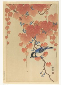 Coal Tit on Paulownia Branch tekijältä Ohara Koson