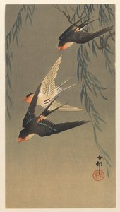 Kolme punakurkkupääskystä sukelluksessa tekijältä Ohara Koson