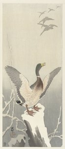 Ankka lumisella kannolla tekijältä Ohara Koson