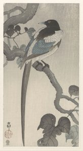Harakka puun oksalla tekijältä Ohara Koson