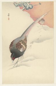 Fasaanipari lumessa tekijältä Ohara Koson