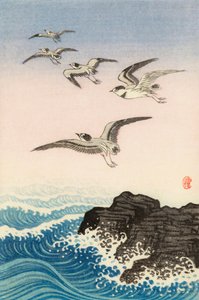 Viisi lokkia meren kiven yläpuolella, 1900-luku (japanilainen printti) tekijältä Ohara Koson