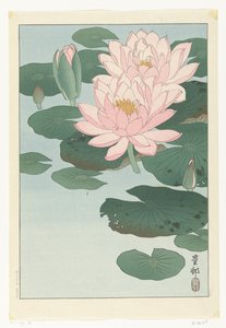 Kukkiva lumpeenKukkiva lumpeen tekijältä Ohara Koson