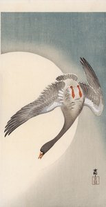 Lentävä valkohousuhanhi alhaalta katsottuna kuun edestä (värillinen puupainatus) tekijältä Ohara Koson