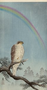 Haukka männyn päällä sateenkaari päällä (värillinen puupainatus) tekijältä Ohara Koson