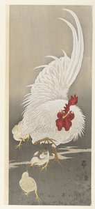 Kukko ja kolme poikasta tekijältä Ohara Koson