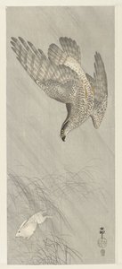 Goshawk metsästävä jänis tekijältä Ohara Koson
