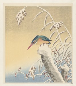 Kingfisher lumessa tekijältä Ohara Koson