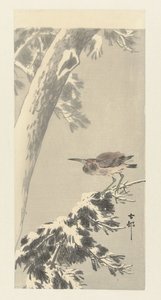 Intian yöhaikara lumisella puun oksalla tekijältä Ohara Koson