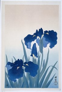iirikset tekijältä Ohara Koson