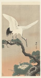 Japanilainen nosturi männyn oksalla tekijältä Ohara Koson