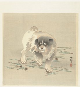 nuori koira tekijältä Ohara Koson