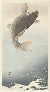 Karppi tekijältä Ohara Koson