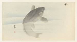 karppi ja lentää tekijältä Ohara Koson