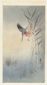 Kingfisher metsästää kaloja (väripuupiirros) tekijältä Ohara Koson