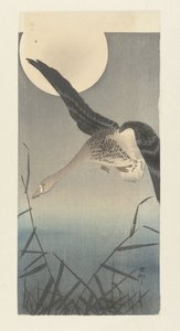 Valkorintahanhi täysikuussa tekijältä Ohara Koson