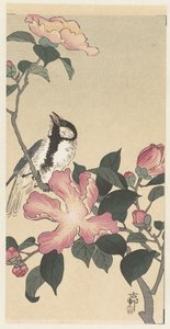 Talitiainen oksalla vaaleanpunaisilla kukilla tekijältä Ohara Koson