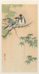Isot tissit vaahteran oksalla tekijältä Ohara Koson