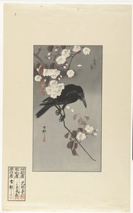 Varis ja kirsikankukka Hana sakura no tori (otsikko esineessä) tekijältä Ohara Koson