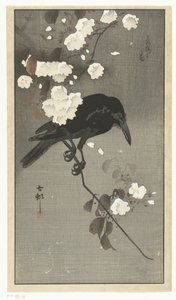 Varis kirsikankukan kanssa Hana sakura no tori (otsikko esineessä) tekijältä Ohara Koson