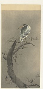höpöttää tak tekijältä Ohara Koson