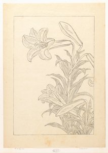 Lelies tekijältä Ohara Koson