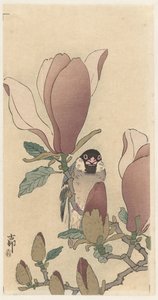 Varpunen kukkivan magnolian oksalla tekijältä Ohara Koson