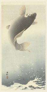 hyppäävä karppi tekijältä Ohara Koson