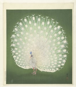 Riikinkukko tekijältä Ohara Koson