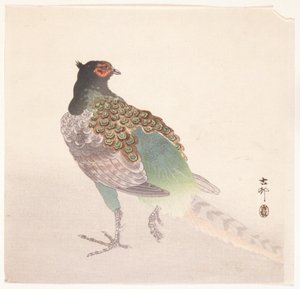 Fasaani (värillinen puupainatus) tekijältä Ohara Koson