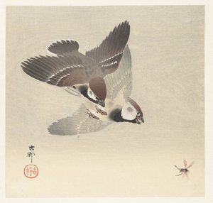 Varpuset ja hyönteiset tekijältä Ohara Koson