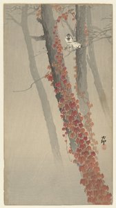punainen muratti tekijältä Ohara Koson