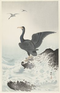 Punanaamioinen merimetso kalliolla tekijältä Ohara Koson
