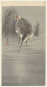 Leikkaa veteen tekijältä Ohara Koson